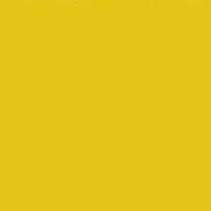 Meet your Posher, Symone